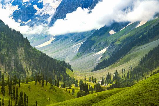 Kashmir Landscape